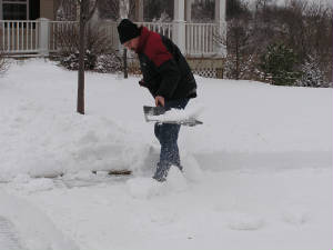 Shovel3.JPG